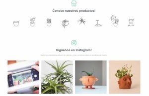 web theplantstore